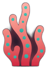 Coral CRM